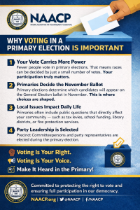 Why Voting the Primary is Important